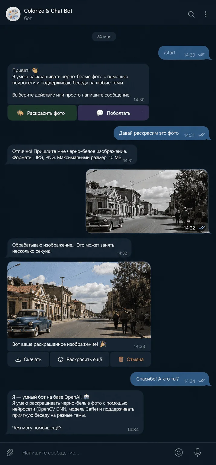 Preview of project “AI photo colorization bot”